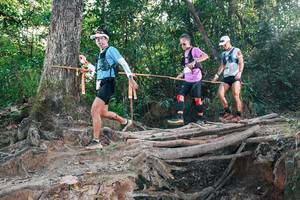 BIB: 
                            <button type="button" onclick="openModal(27305220)" class="btn btn-primary btn-sm float-right btn-popup" data-toggle="modal" data-target=".modal-high-quality">
                        <i class="fas fa-shopping-cart"></i> Add to Cart
                    </button>
                                            <button type="button" onclick="isThisMe(27305220, true)" class="btn btn-success btn-sm float-right btn-popup btn-isme hidden" data-toggle="tooltip" data-placement="bottom" title="นี่คือรูปของคุณใช่ไหม คลิกที่นี่เพื่อเอาเข้าอัลบั้ม">
                        <i class="fas fa-plus"></i> Add to album
                    </button>
                    <button type="button" onclick="isThisMe(27305220, false)" class="btn btn-warning btn-sm float-right btn-popup btn-isnotme hidden">
                        <i class="fas fa-ban"></i> Remove from album
                    </button>